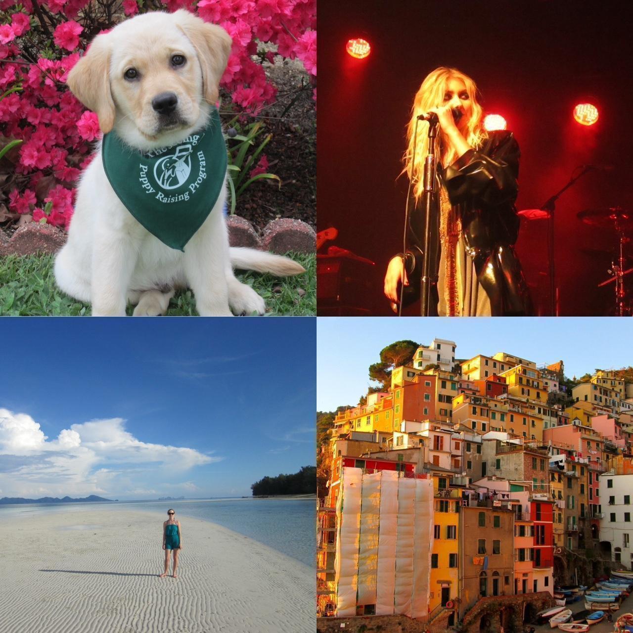 P0_5_b2909731-f6bf-4181-959e-19b753ff3309