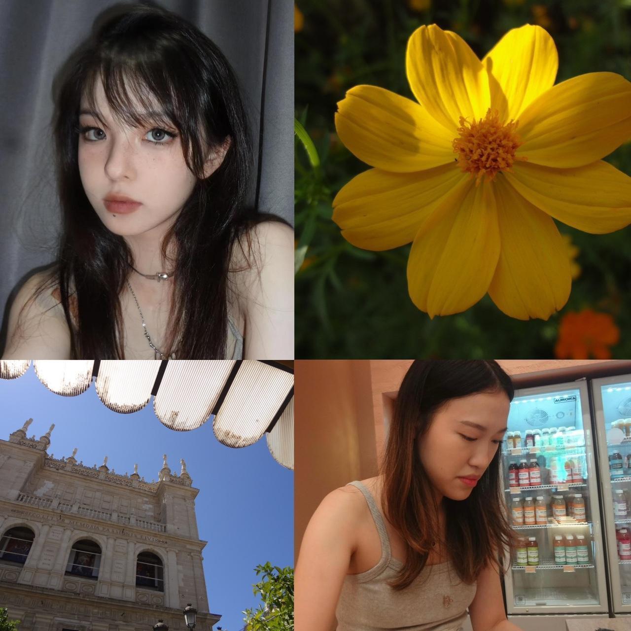 P0_6_6a26f795-70fe-4776-81f4-51e677e220b4