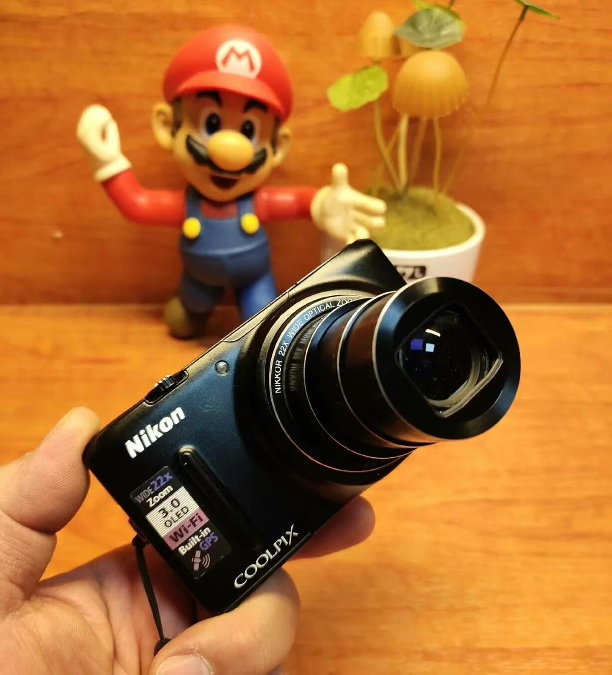 pic_8b116dc6-555d-4e24-af78-1c7a525b7036-2